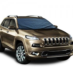 Blue Snow and Ice Windshield Cover